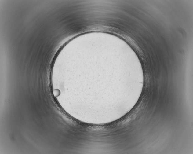 X0000111620846200908281111