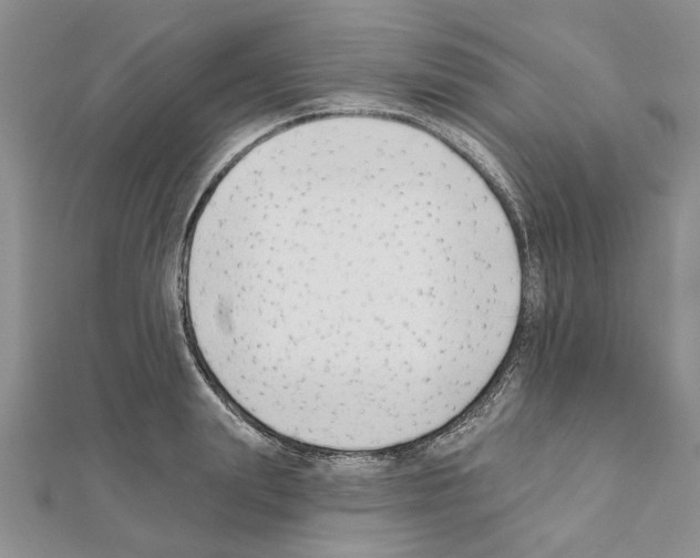 X0000111620847200908281111