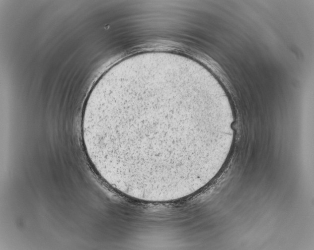 X0000111620850200908281111