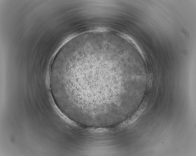 X0000111620851200908281111