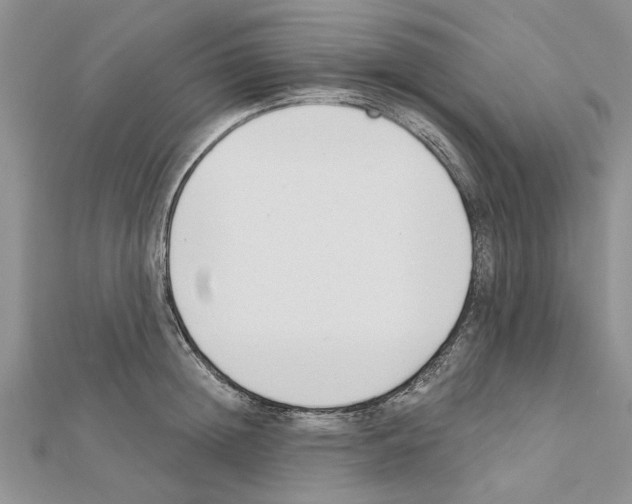 X0000111620852200908281111