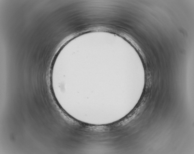 X0000111620853200908281111