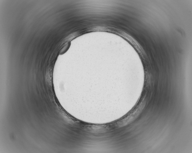 X0000111620857200908281111