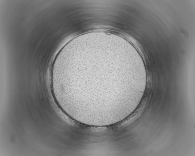 X0000111620859200908281111