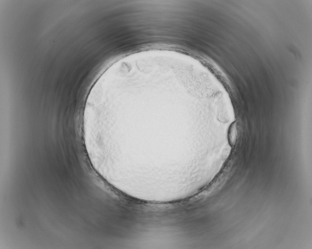 X0000111620860200908281111