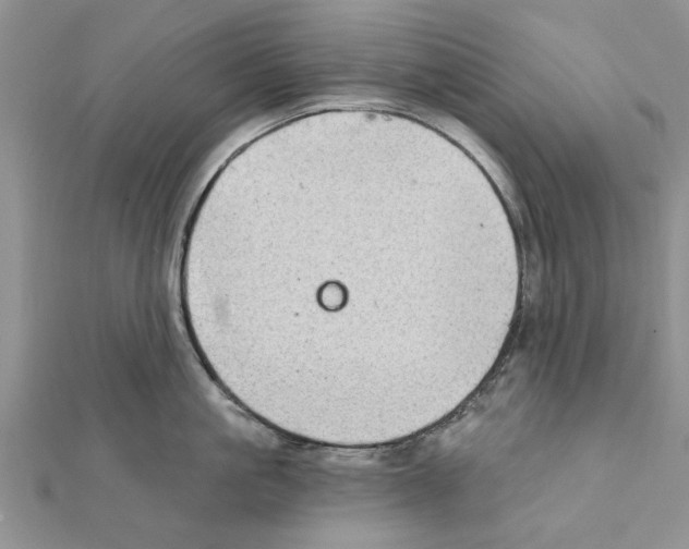 X0000111620861200908281111