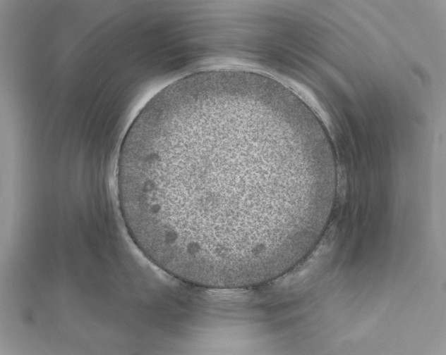 X0000111620863200908281111