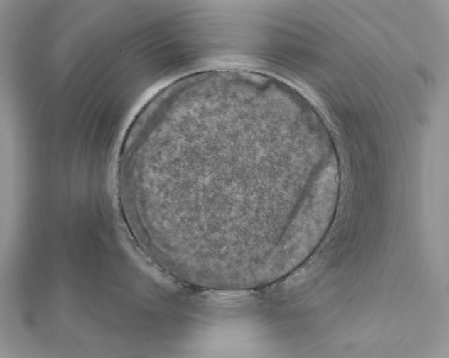 X0000111620864200908281111