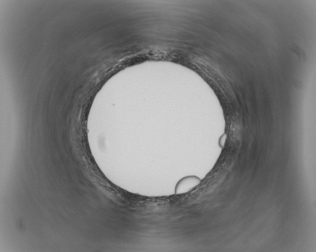 X0000111620865200908281110