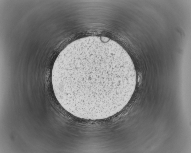 X0000111620867200908281110