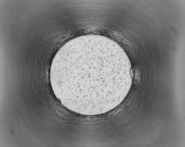 X0000111620868200908281110