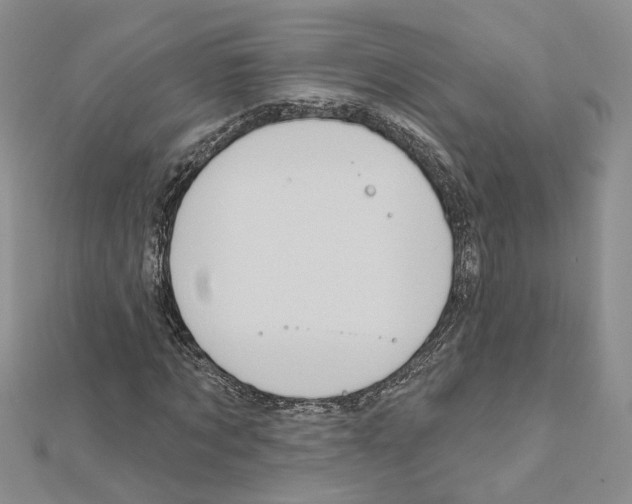 X0000111620869200908281110