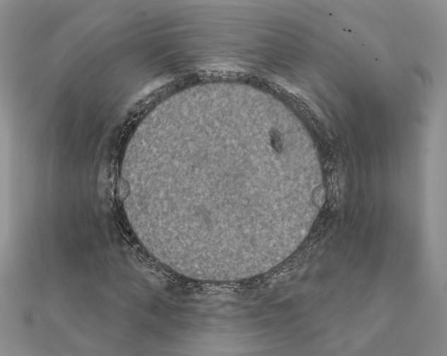 X0000111620870200908281110