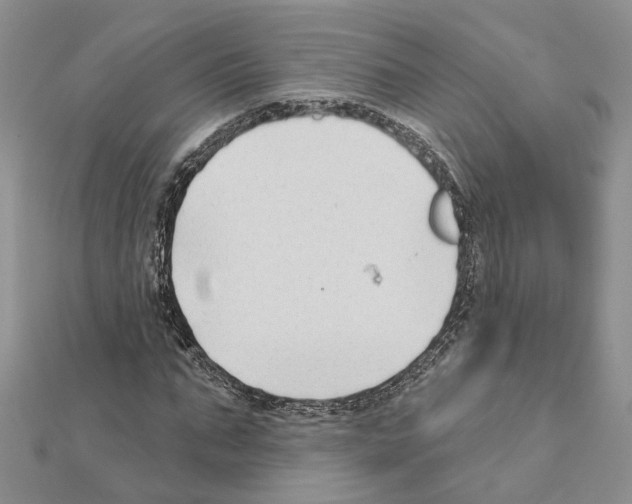 X0000111620871200908281110