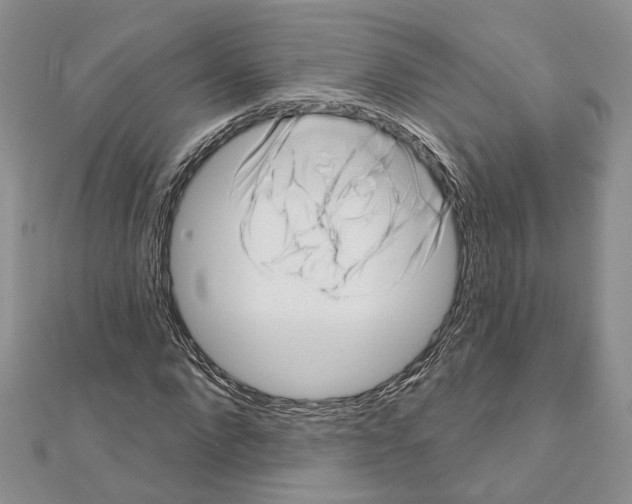 X0000111620872200908281110