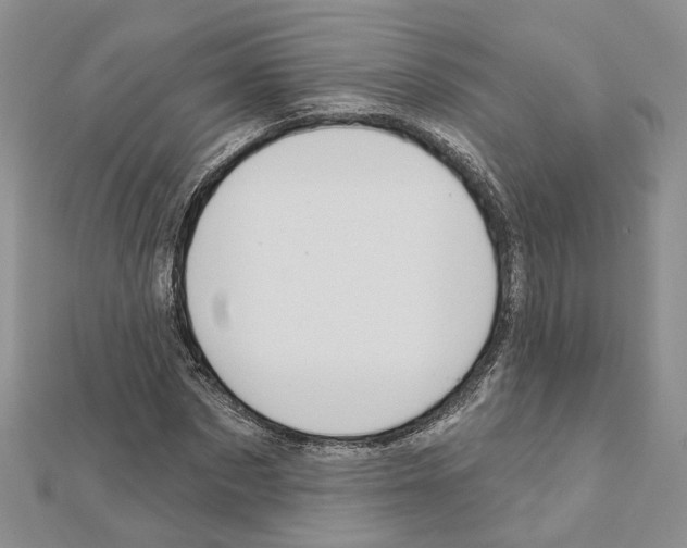 X0000111620873200908281110