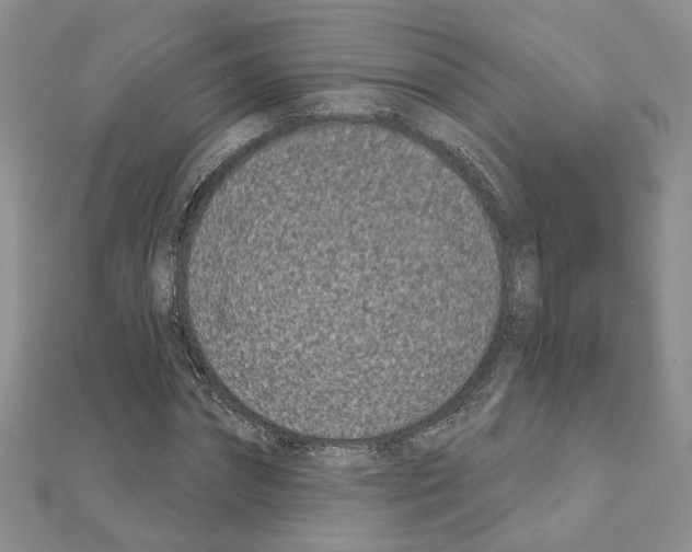 X0000111620874200908281110