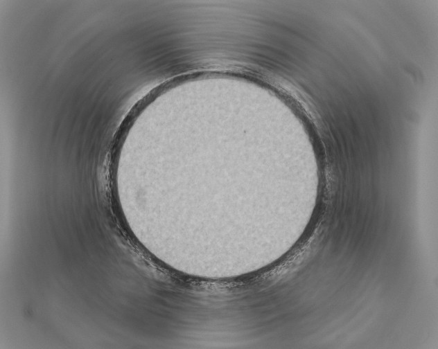 X0000111620875200908281110