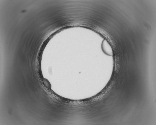 X0000111620876200908281110