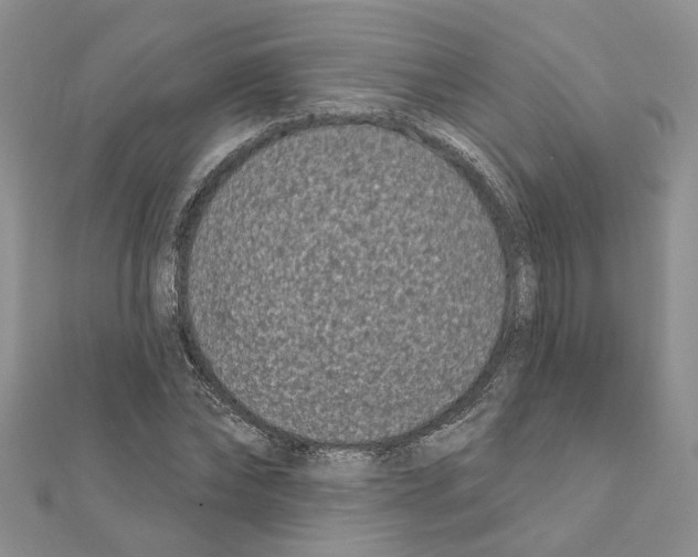 X0000111620878200908281110