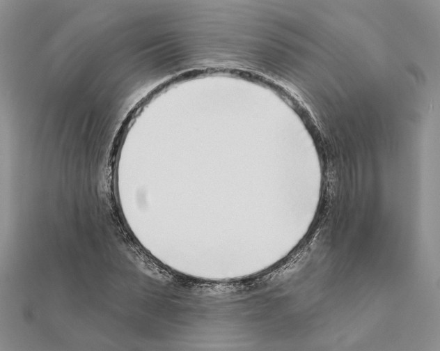 X0000111620879200908281110