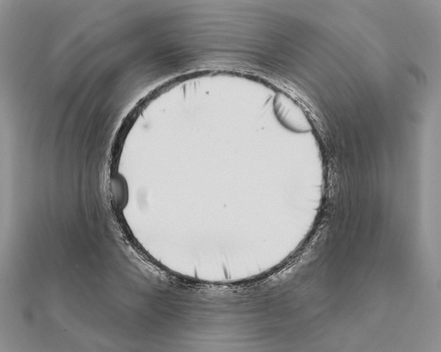 X0000111620880200908281110