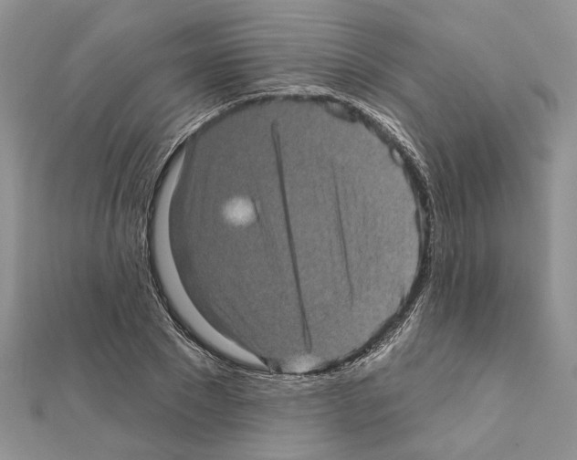 X0000111620881200908281110