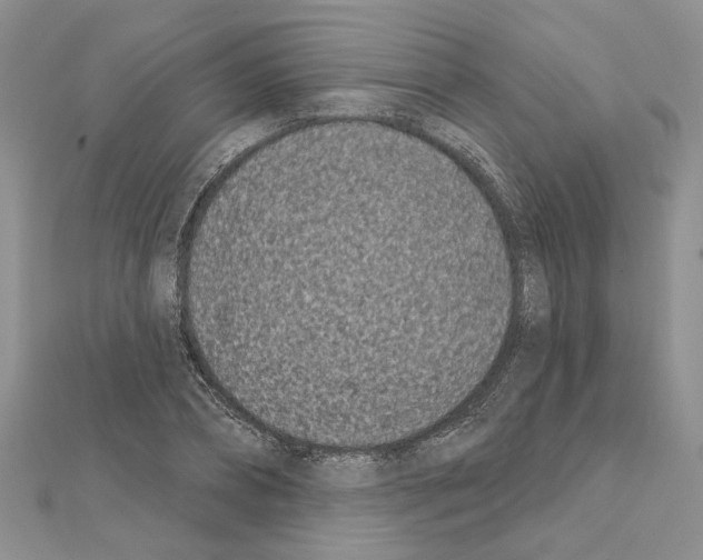 X0000111620882200908281110