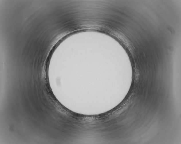 X0000111620883200908281110