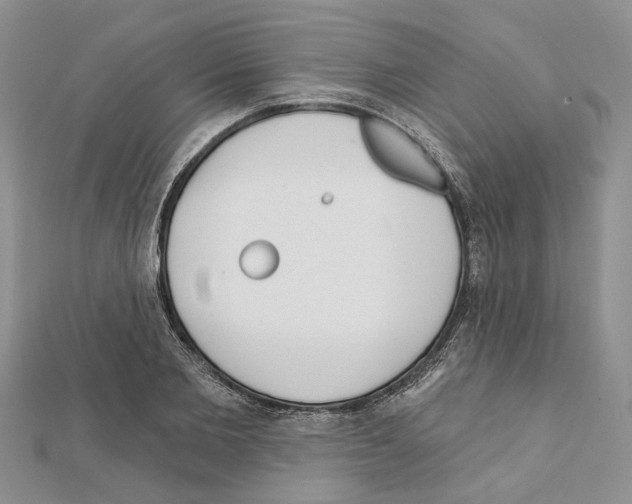 X0000111620885200908281110