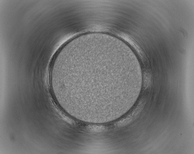 X0000111620886200908281110