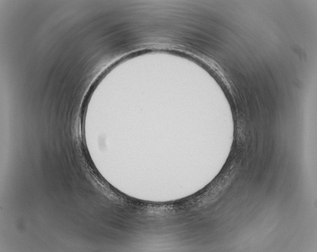 X0000111620887200908281110