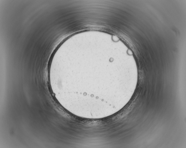 X0000111620891200908281110