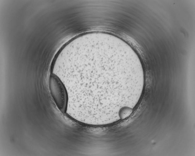 X0000111620892200908281110