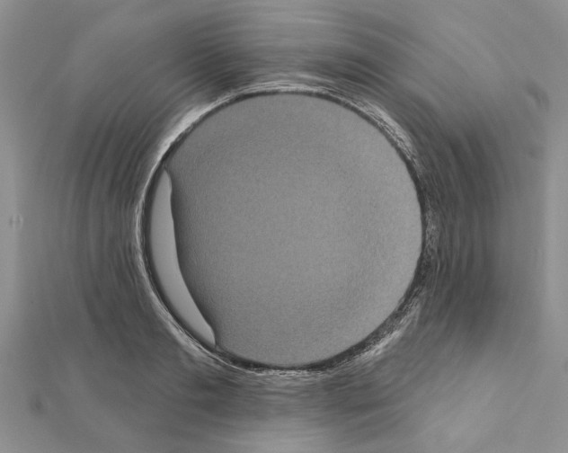 X0000111620893200908281110