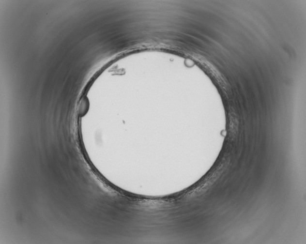 X0000111620894200908281110