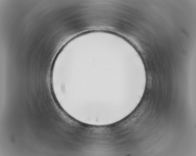 X0000111620895200908281110