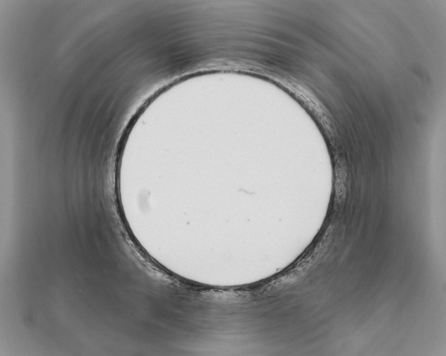 X0000111620896200908281110