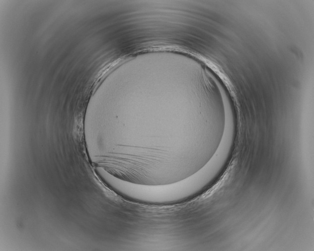 X0000111620897200908281110