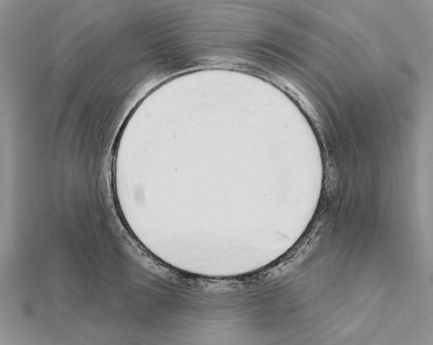 X0000111620899200908281110