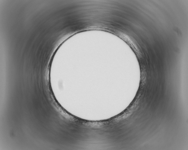 X0000111620900200908281110