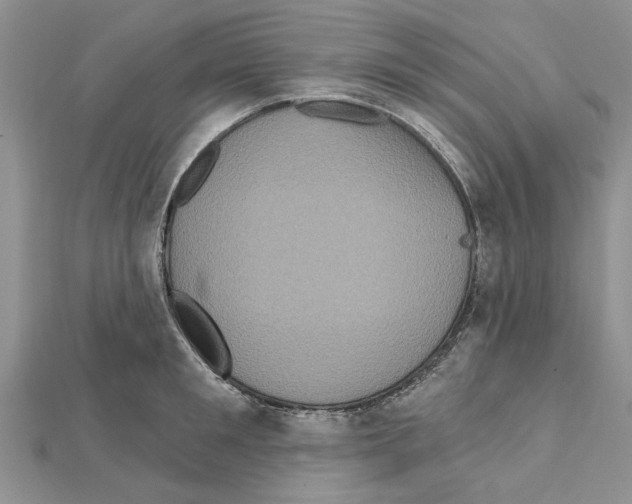 X0000111620901200908281110