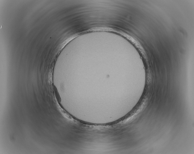 X0000111620905200908281110