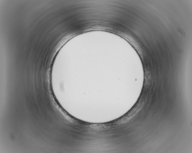 X0000111620906200908281110