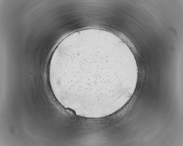 X0000111620908200908281110