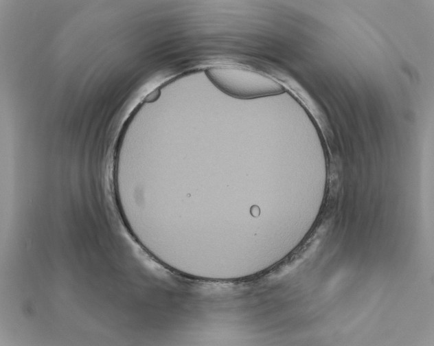 X0000111620909200908281110