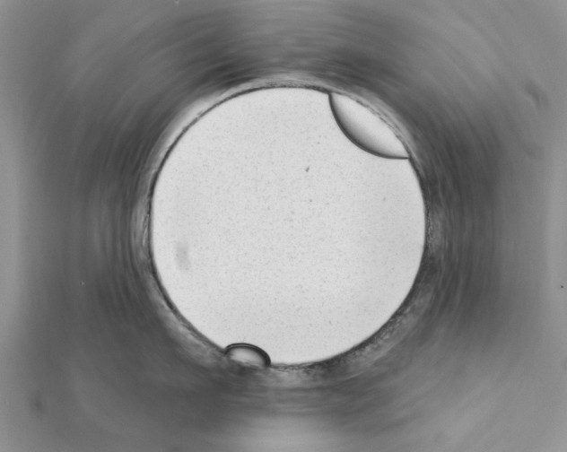 X0000111620911200908281110