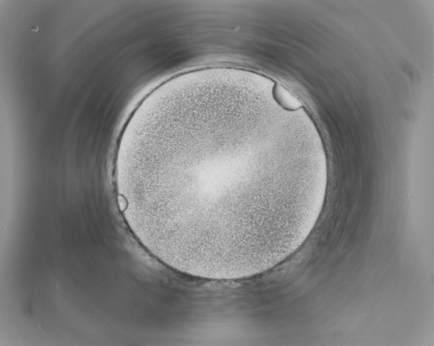 X0000111620912200908281110