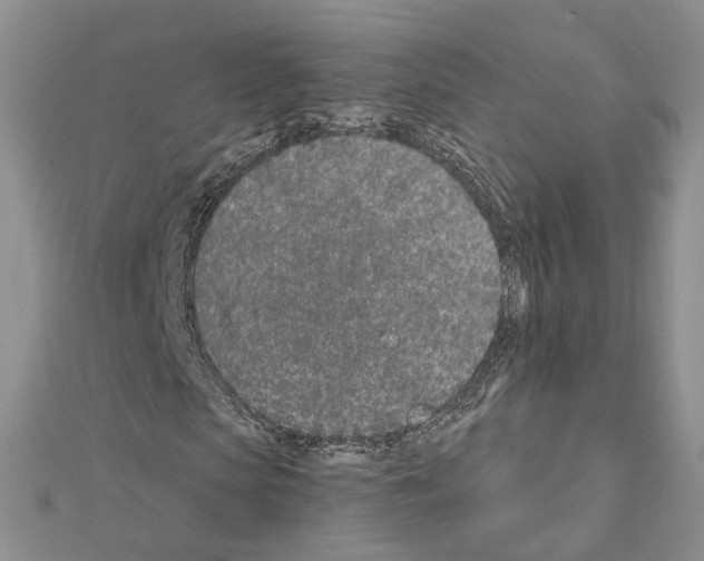 X0000111620913200908281109