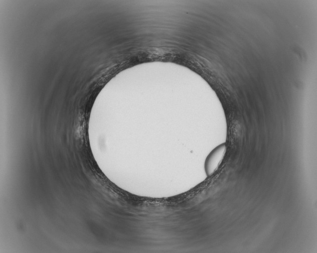 X0000111620914200908281109